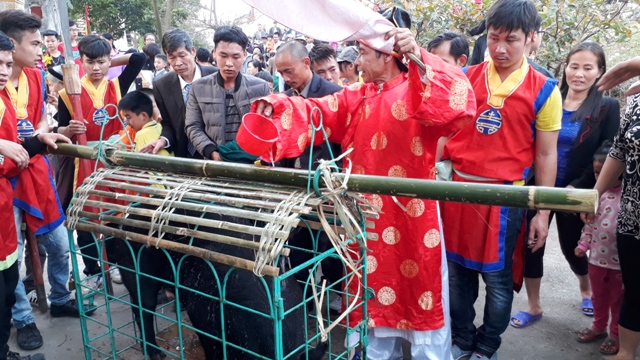 phu tho hang tram nguoi vay bat lon ong cau lay hen dau xuan