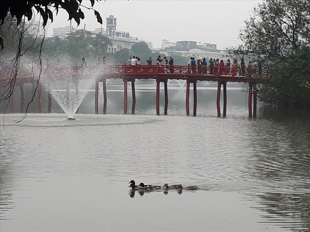 bat ngo xuat hien dan vit troi tai ho guom