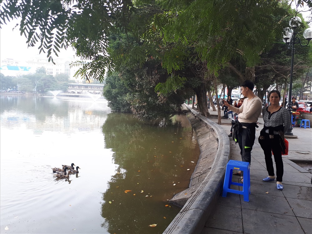 bat ngo xuat hien dan vit troi tai ho guom