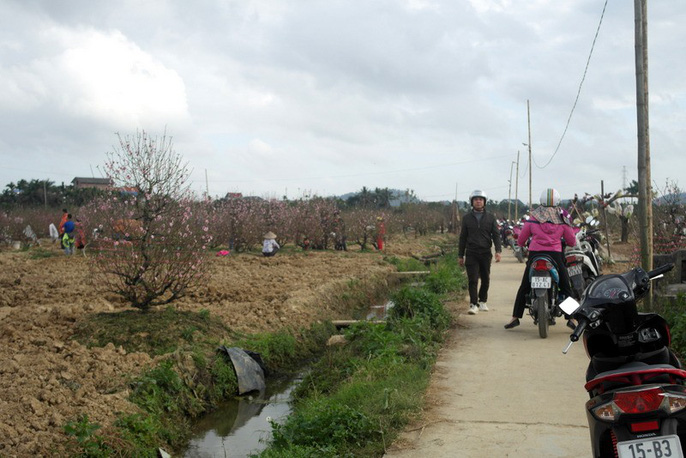 nghe trong dao quat nguoi thu bac ty nguoi trang tay