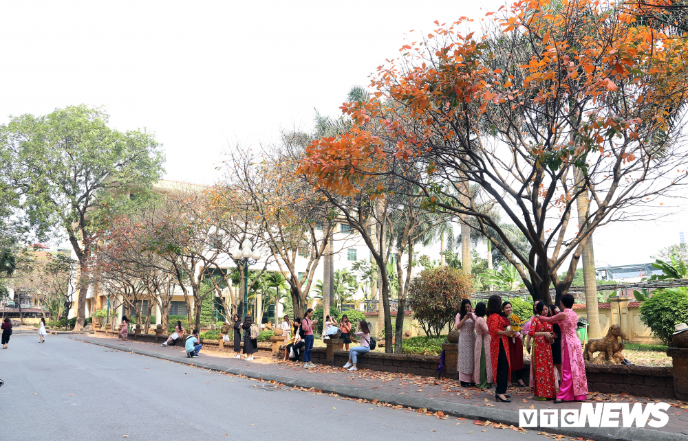 anh con duong la vang ruc ro giua long ha noi hut hang nghin ban tre