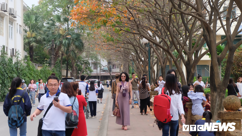 anh con duong la vang ruc ro giua long ha noi hut hang nghin ban tre