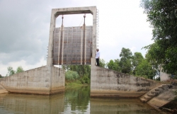 ca phe chet kho ben ho thuy loi