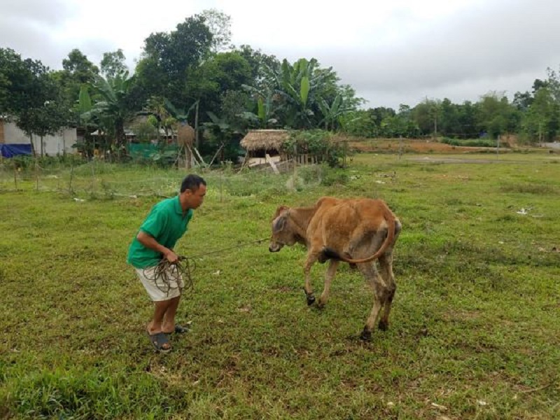 thanh tra viec nghi cung cap bo mang dich cho nguoi ngheo