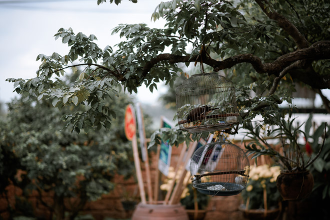 men so huyet lam gom trong ngoi nha co 200 nam tuoi