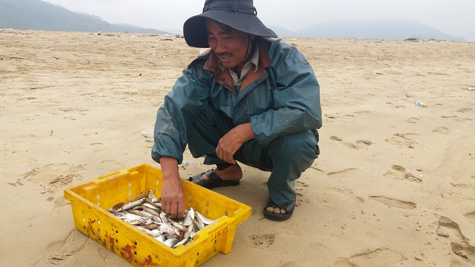 ha tinh thuy san khan hiem ngu dan chang buon ra khoi