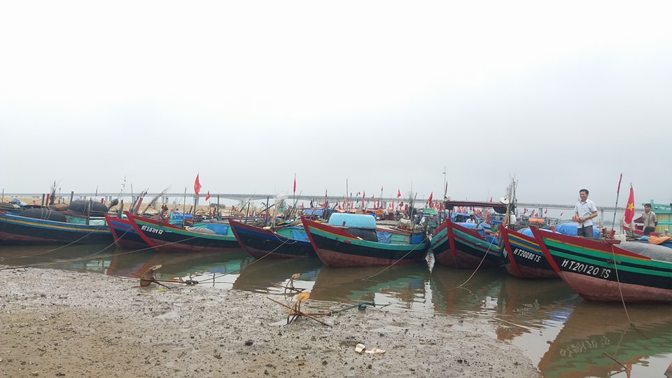 ha tinh thuy san khan hiem ngu dan chang buon ra khoi