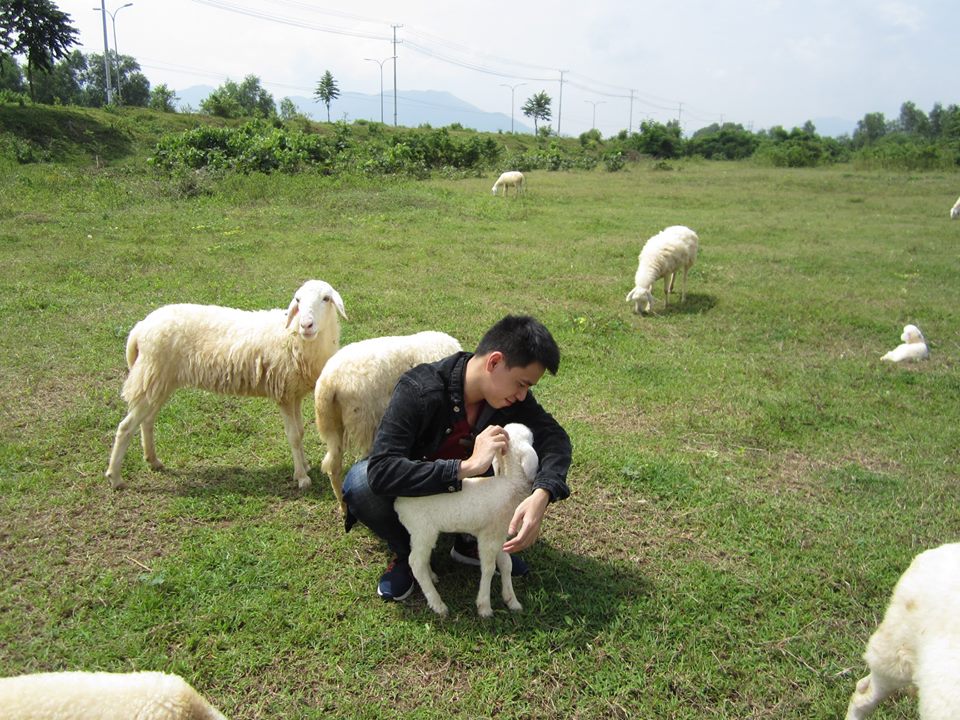 he den ru nhau ve vung tau tham dong cuu binh yen tho mong