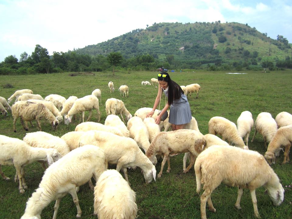 he den ru nhau ve vung tau tham dong cuu binh yen tho mong