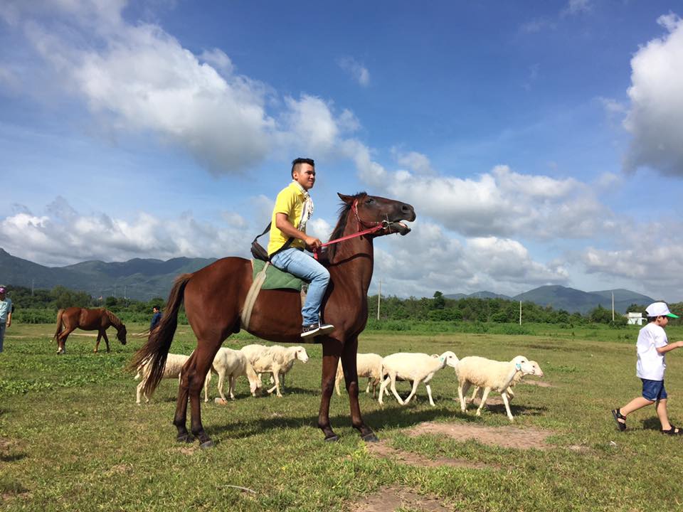 he den ru nhau ve vung tau tham dong cuu binh yen tho mong