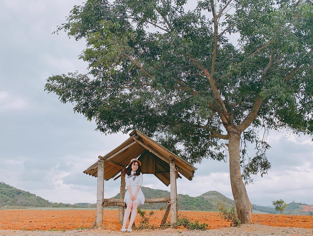 doi dua xanh ngat xanh giua nui non trung diep o ninh binh