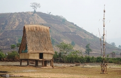 ly do cu khi he den du khach lai do ve nam phi de tan huong mua dong