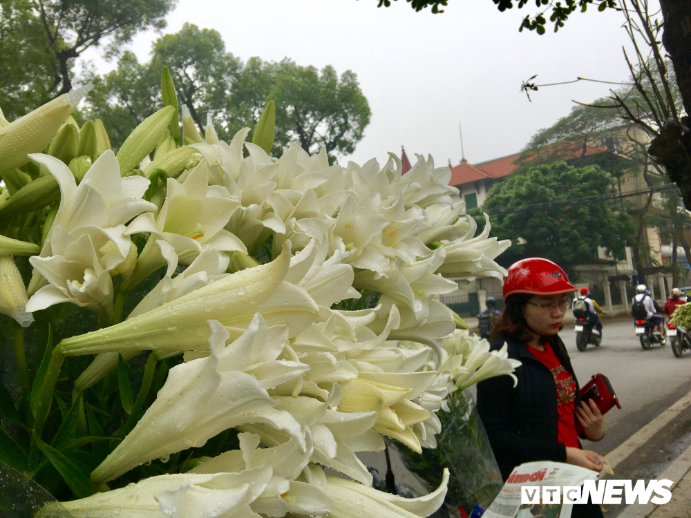 anh mua hoa loa ken goi thang tu ve khap cac con pho ha noi