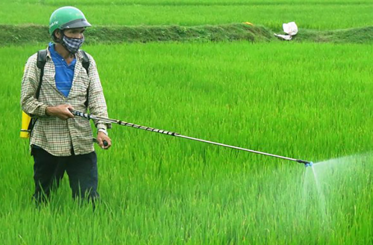 hoat chat tru co glyphosate se khong duoc su dung o viet nam