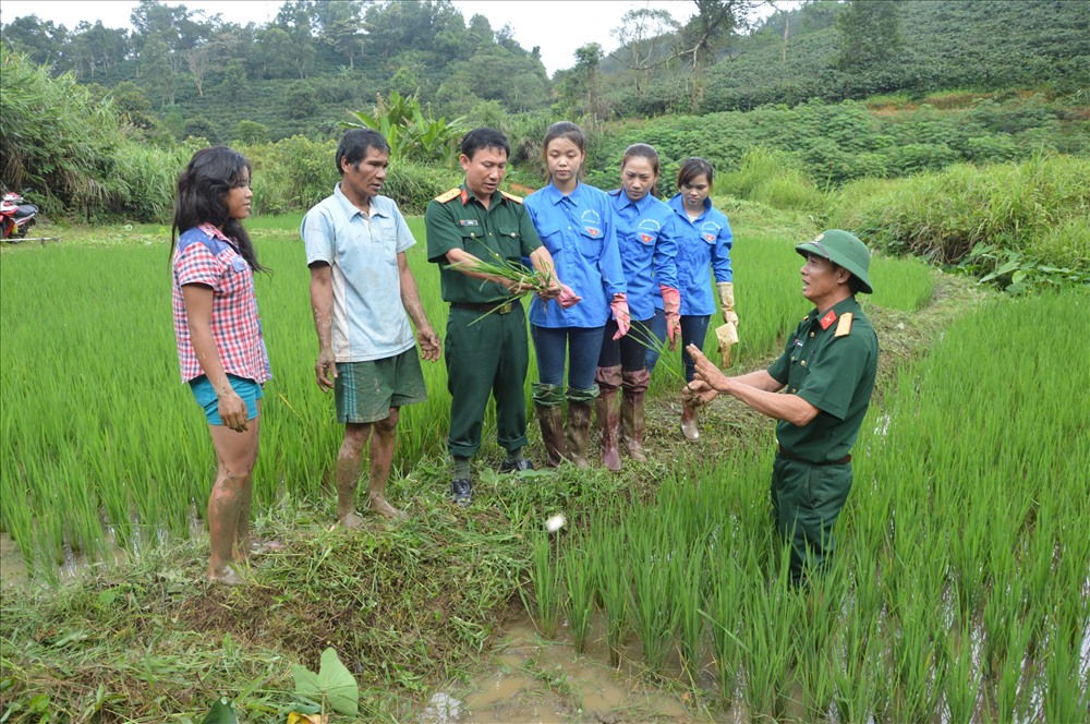 but ky phong su du thi ve 50 nam chien thang khe sanh nhung mam xanh tren chien truong xua