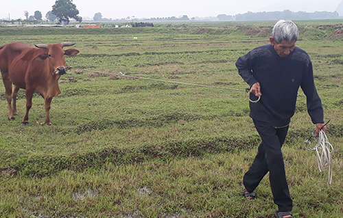 thanh hoa kiem diem sai pham vu thu phi dong co