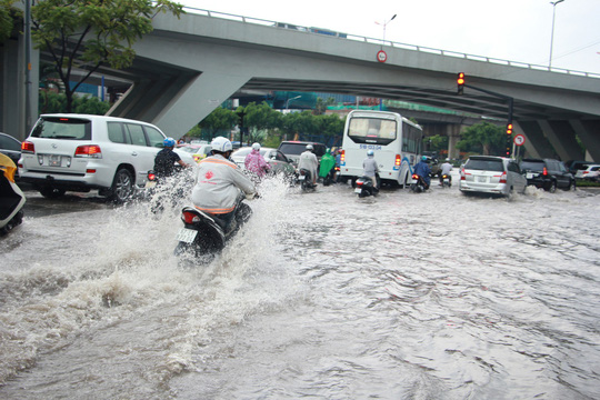 vi sao duong nguyen huu canh mua la ngap