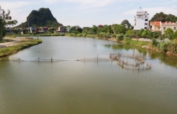 de nghi thanh tra du an no von tu 72 len 2600 ti o ninh binh