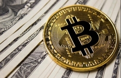 bitcoin vuot nguong 8000 usd sau khi giam manh trong thang 5