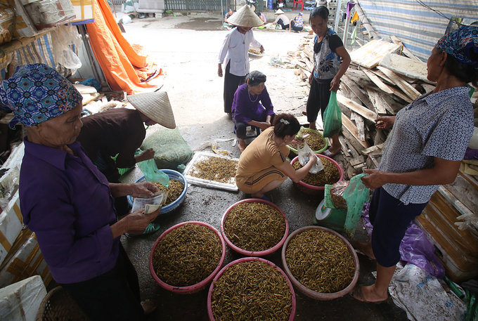 nguoi dan ha noi nhat canh dong thung chau chau