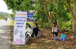 hang chuc truong hop lap suoi ban nen o phu quoc