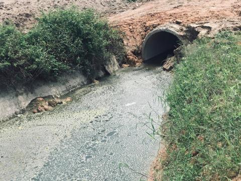 hang nghin ti dong bi chon vui tai minh giang dam va