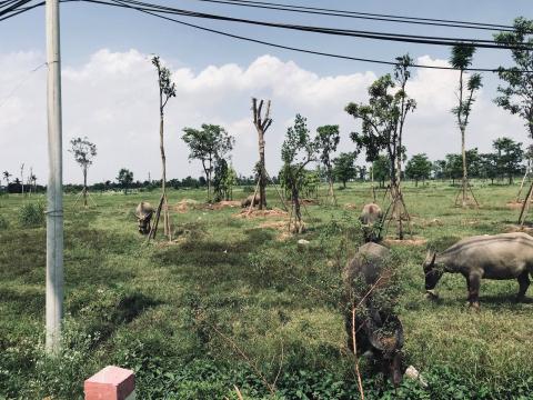 hang nghin ti dong bi chon vui tai minh giang dam va