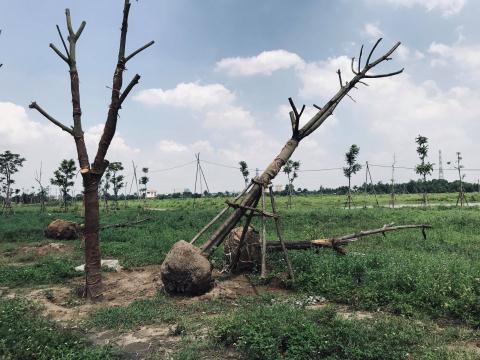 hang nghin ti dong bi chon vui tai minh giang dam va