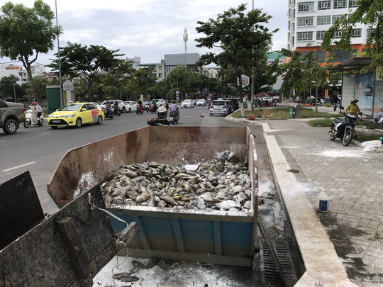 da nang hon 5 tan ca chet trang tai 2 ho thac gian va vinh trung