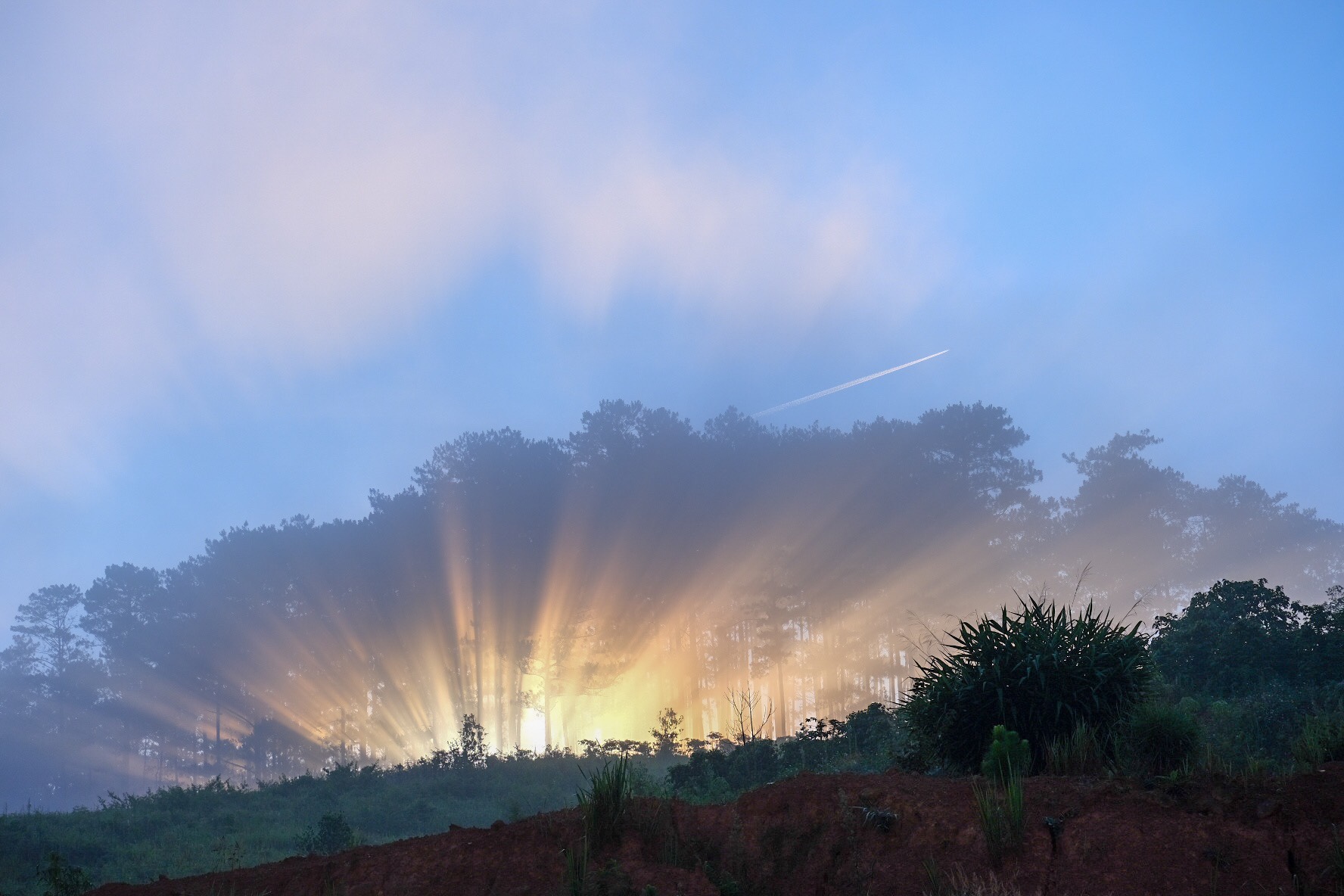 da lat dep buon ma mi trong goc nhin cua co gai that tinh