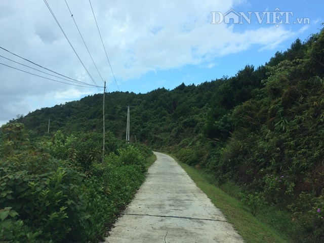 kham pha ve dep hoang so va binh di tren dao tien tieu vinh thuc