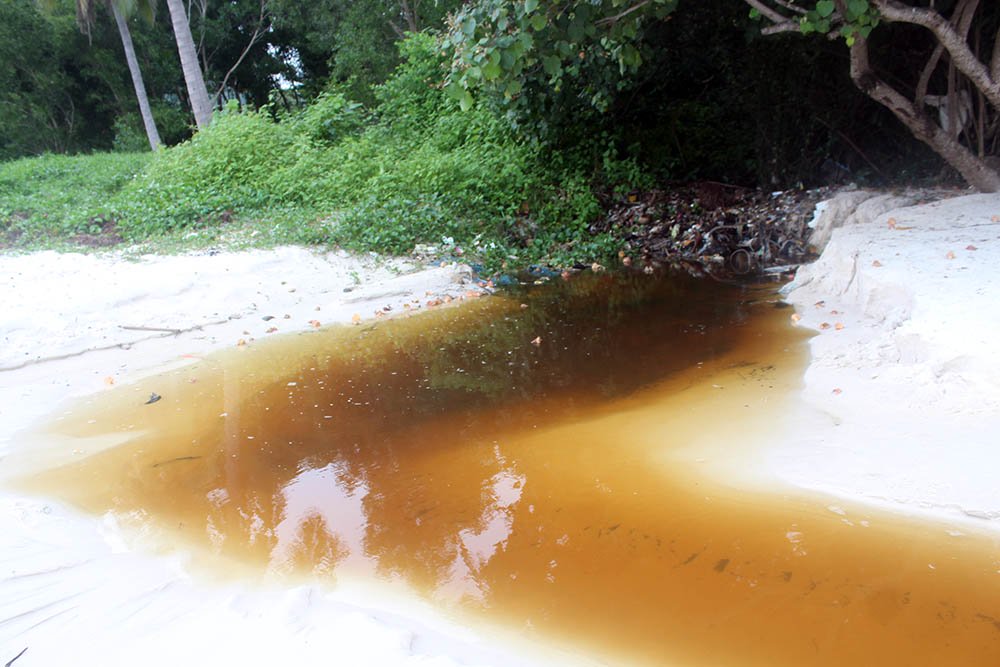 dong nuoc den ngom xuat hien tai bai bien dep nhat phu quoc