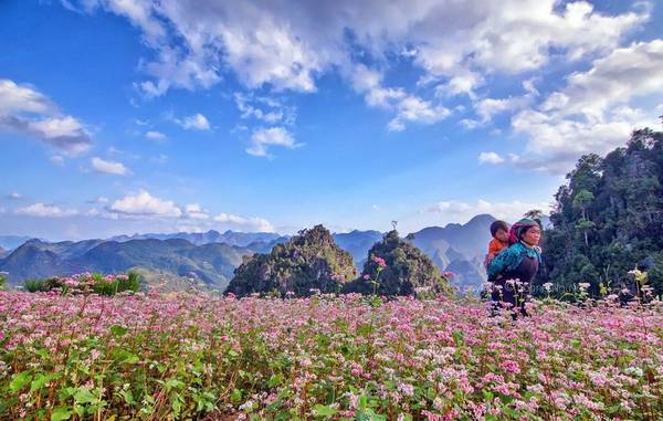 ha giang co gi la ma ai cung muon check in vao thang 10