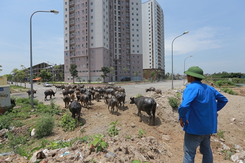 ha noi sau 10 nam mo rong