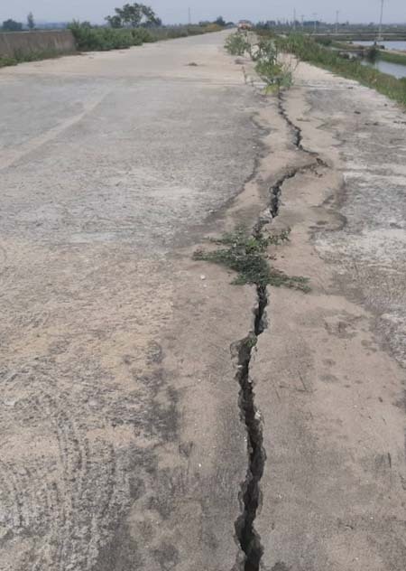 tuyen de tram ty moi su dung mot nam da bi nut gay