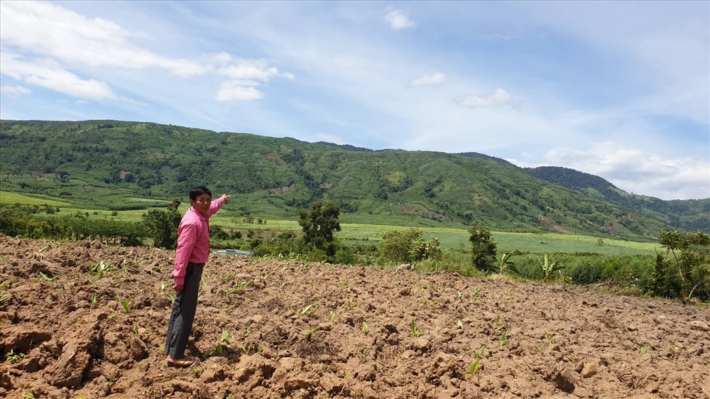 phan hoi vu dai du an nuoi bo xi dat xay dung trai phep o dak lak