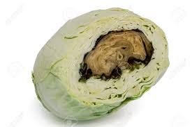 nhung thuc pham can tranh xa quotchetquot cung khong duoc an