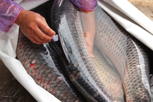 nhung thuc pham can tranh xa quotchetquot cung khong duoc an