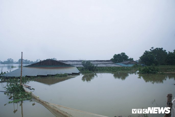 dan vung ron lu ha noi tap nap cheo thuyen di lay nuoc mien phi