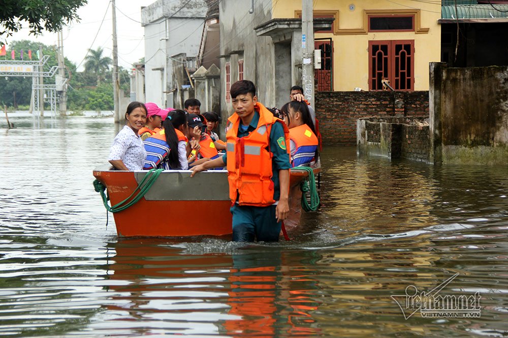 hoc sinh ha noi leo cay treo noc nha di hoc ngay lu