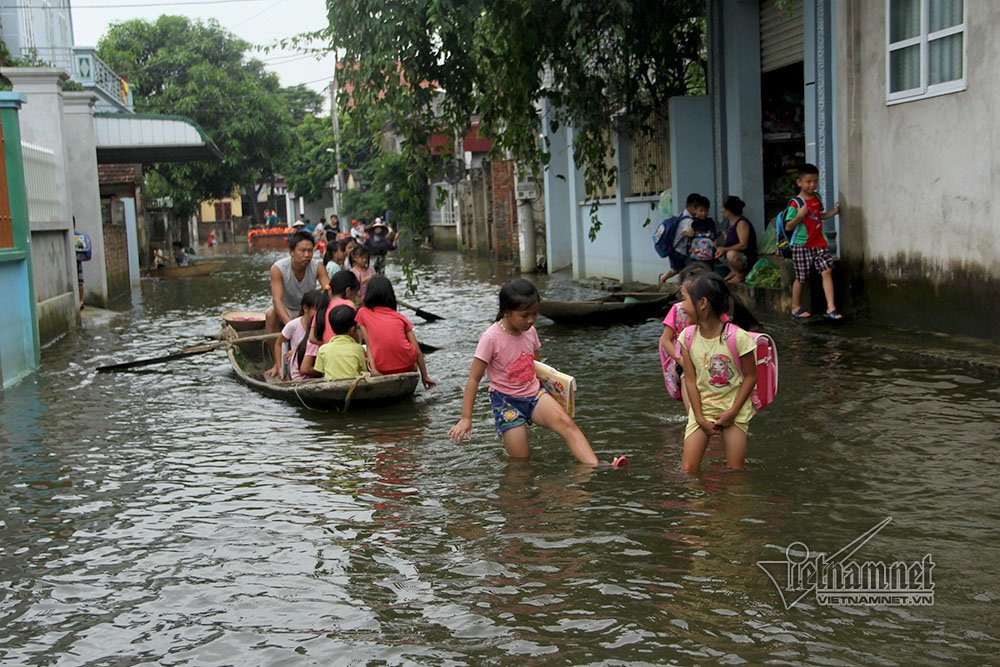 hoc sinh ha noi leo cay treo noc nha di hoc ngay lu