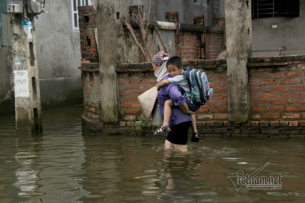 hoc sinh ha noi leo cay treo noc nha di hoc ngay lu