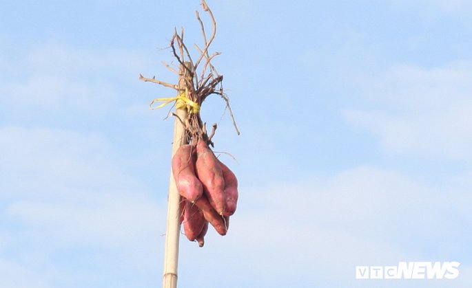 anh net dep binh di nguyen so cua cho noi long xuyen