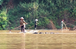 nuoc lu cuon cuon chuc nuot nha chenh venh ben song