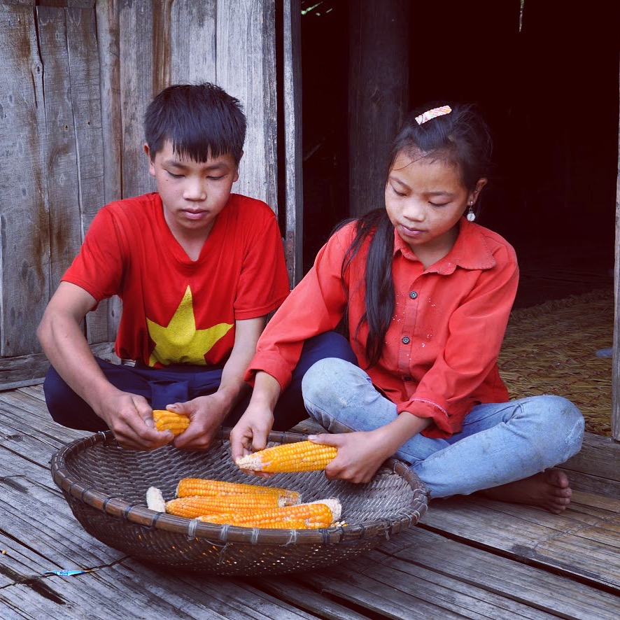 cuoc vat lon tim sinh ke noi bien cuong phia bac