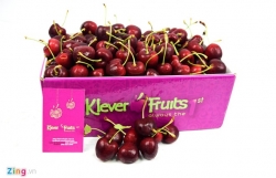 cherry my o at ve viet nam voi gia re