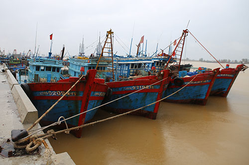 nghe an cam bien de doi pho bao bebinca