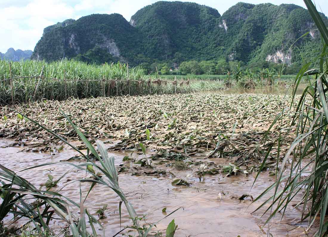 nghe an lu chong lu nhieu noi van ngap trong bien nuoc