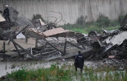 canh tuong duoi gam cau morandi khi bi sap