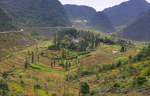 cuoc doi vua meo va dinh thu xay het 15000 dong bac hoa xoe